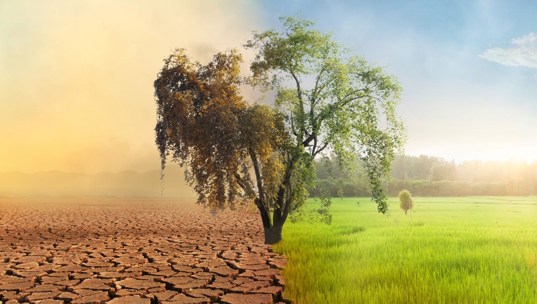 İklim değişikliği ve gıda krizi