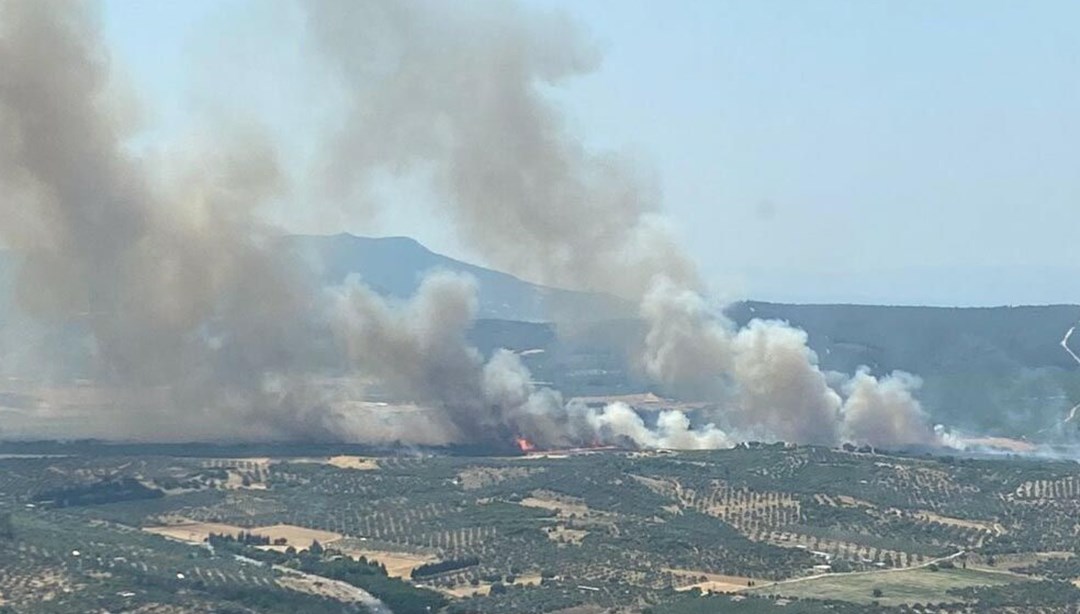 İzmir Foça’da orman yangını