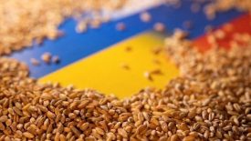 Rusya, Tahıl Anlaşması’nı askıya aldı