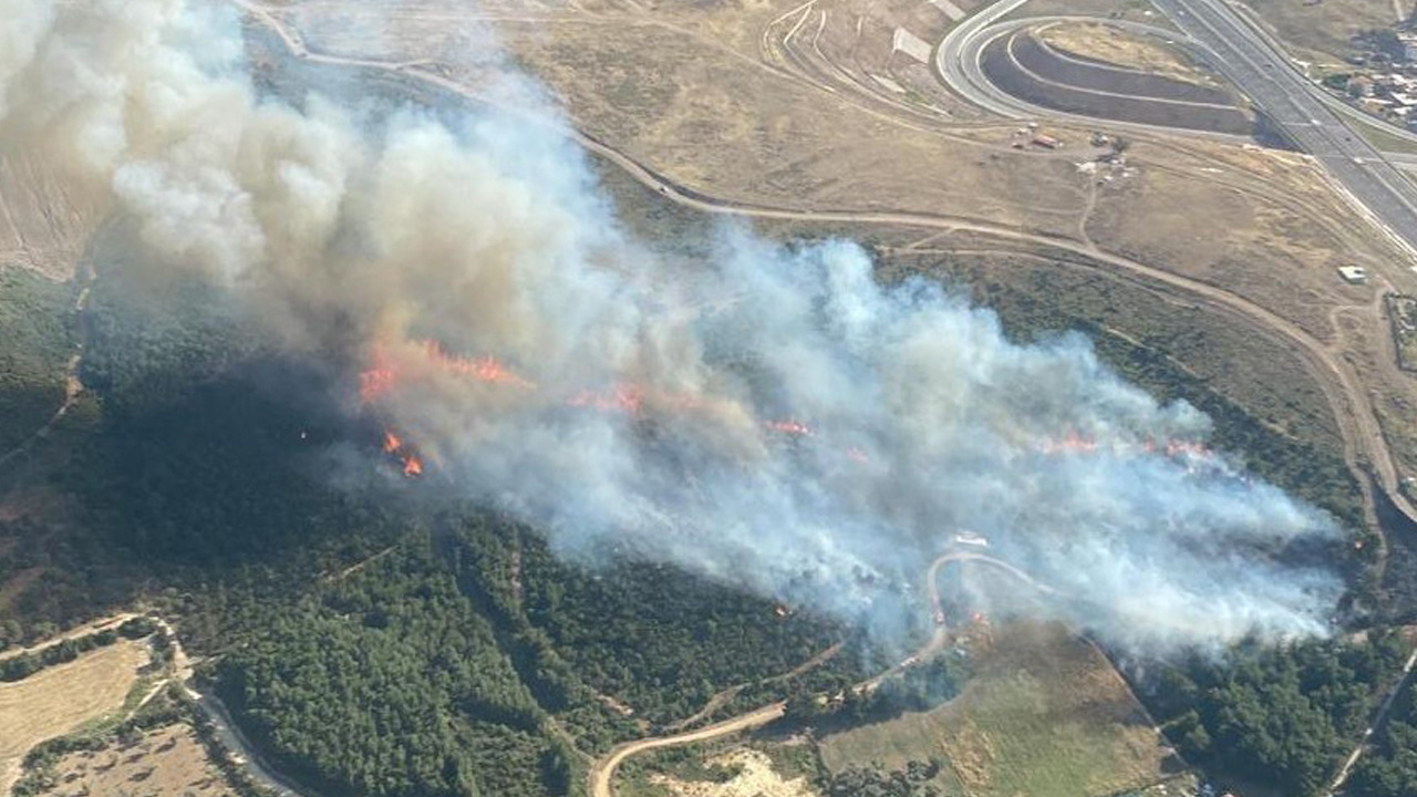 İzmir’de korkutan orman yangını! Havadan ve karadan müdahale edildi, kontrol altına alındı!