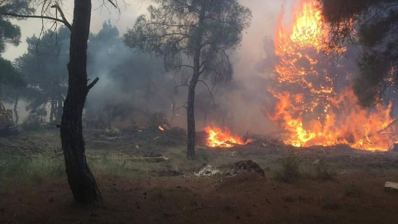 Çanakkale’de devam eden orman yangını şehir merkezine kadar yaklaştı