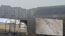 TMO silosu mahalleyi böcek istilasına uğrattı