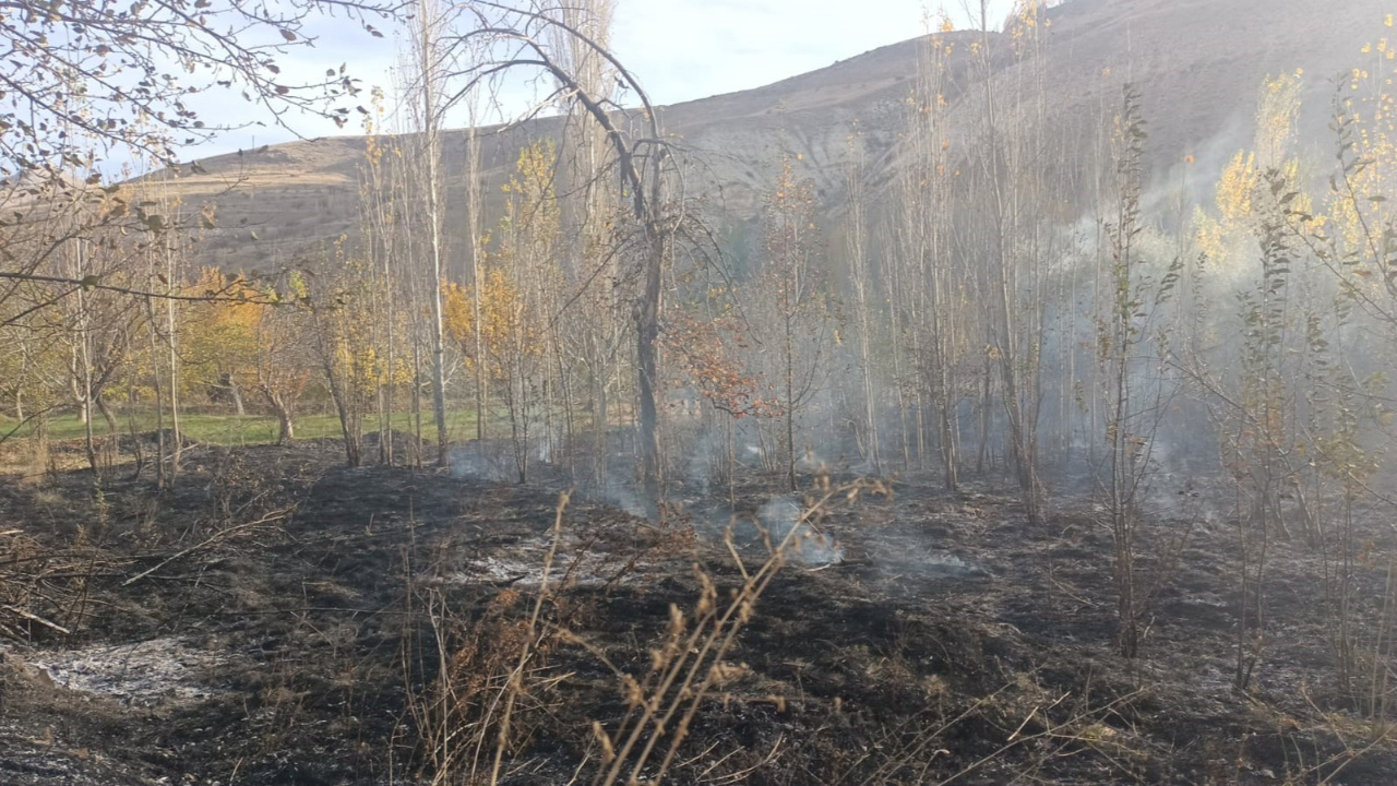 Sivas’ta 40 dönüm bahçe küle döndü, asırlık ceviz ağaçları yandı