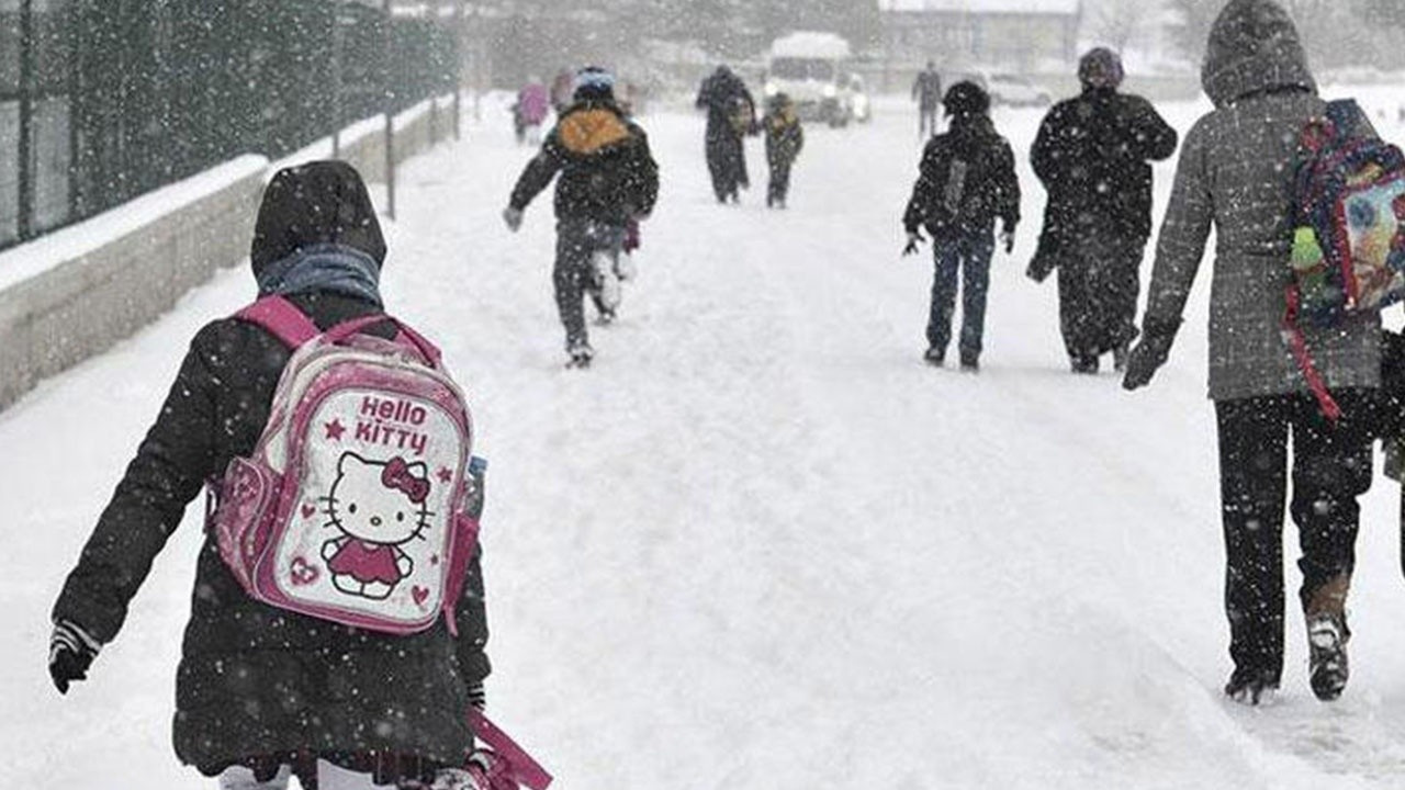Van’ın iki ilçesinde okullar kar yağışı nedeniyle tatil edildi