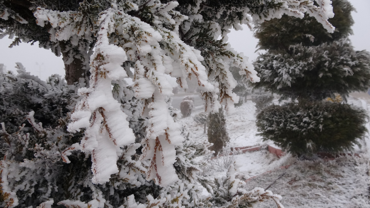 Yozgat’ta yüksek kesimlerde kar ve sis etkili oldu