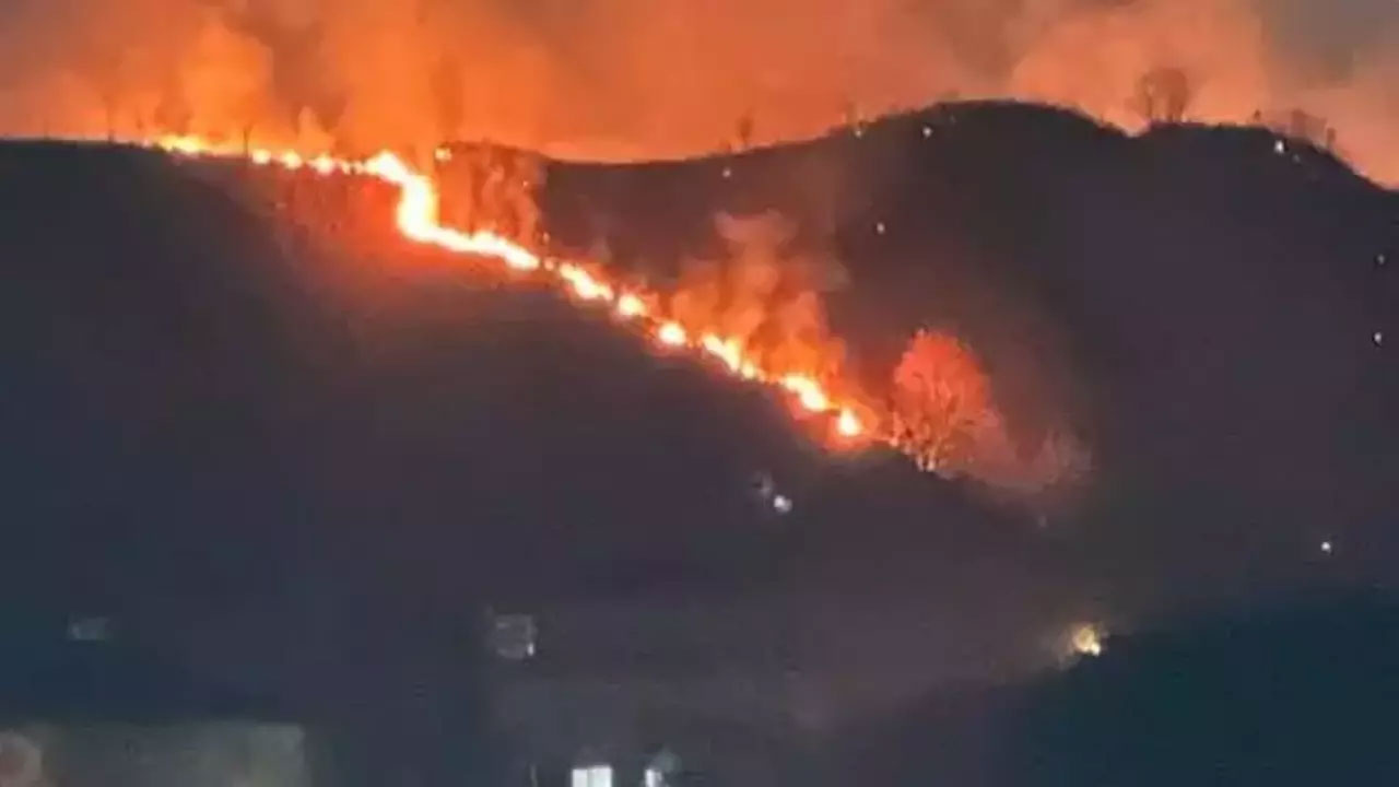 Trabzon’da orman yangını: Ekiplerin müdahalesi sürüyor