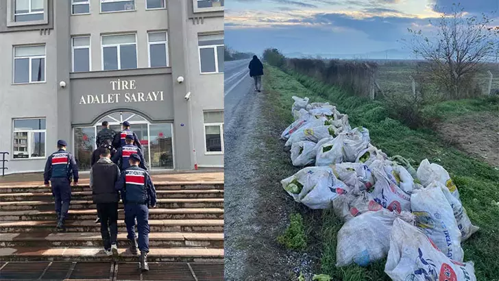 İzmir’de tarladan marul hırsızlığına 3 tutuklama